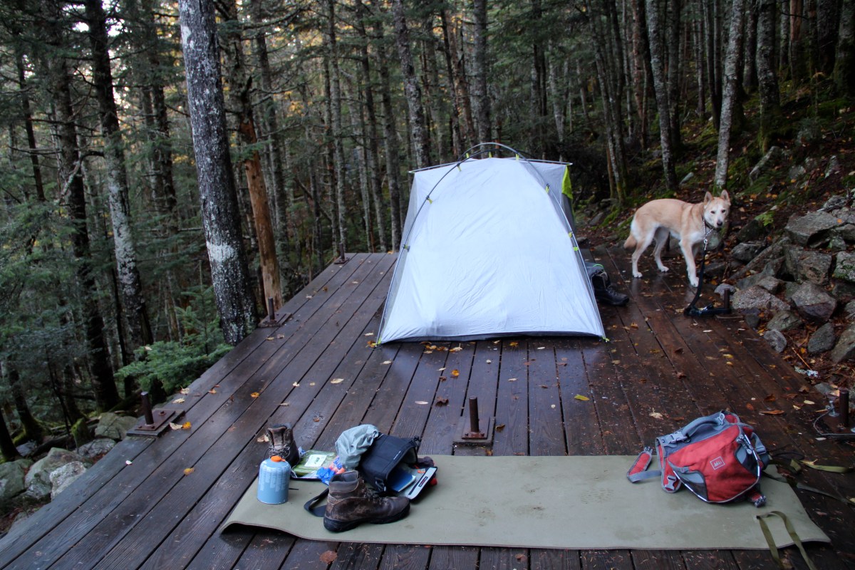 Tent Platforms at Liberty Springs Tentsite